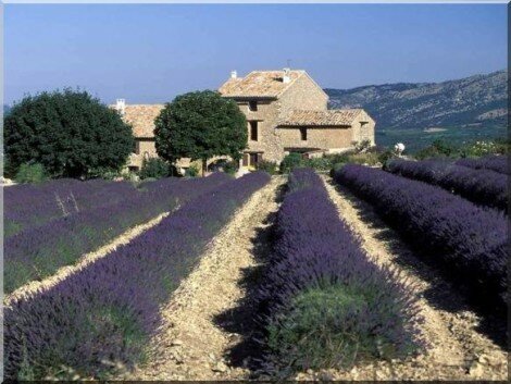French Country Farmhouse